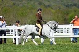 H19_0654 2026