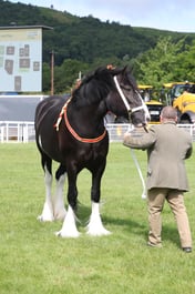 M41_0661 2026