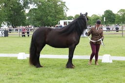 W29_0890 2026