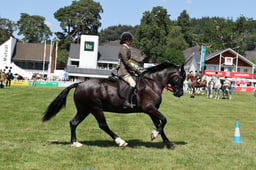 C68_2302 2026