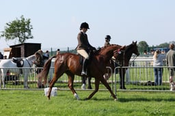 C33_0565 2026