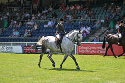 Ridden Hunter Championship
