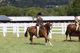 Malvern Ring