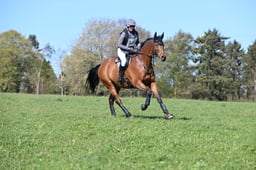 141 G-Wizz
