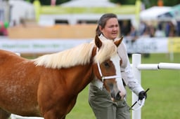 503 Yearlings