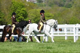 H19_0671 2026