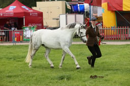 E34_2941 2026