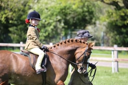 102 Novice SP & SHP Lead Rein