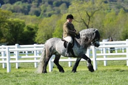 10-05 HOYS Ridden M&M Championship