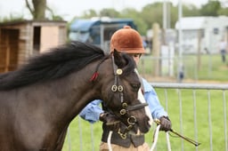 Young Handler 7-12yrs