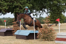 B67_5330 2026