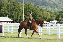 E42_0066 2026