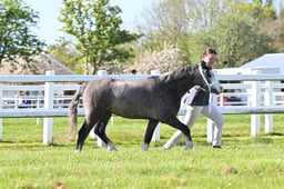 S19_7275 2026