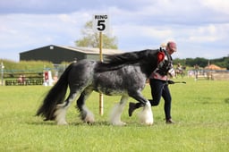 J36_7560 2026