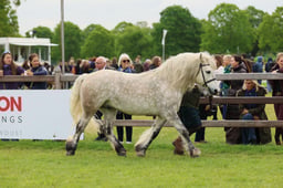 S29_0500 2026