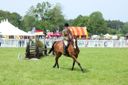 46 Retrained Racehorse Challenge