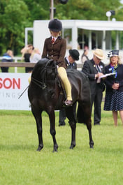 S31_8103 2026
