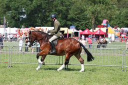 C34_1054 2026