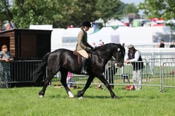 C33_0907 2026