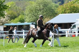 H19_0529 2026