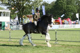 E33_0492 2026