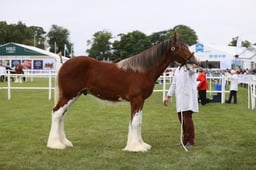 E44_0579 2026
