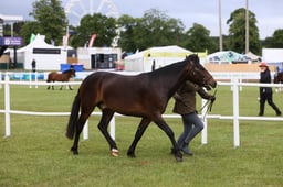 E45_0119 2026