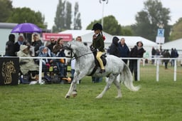 E30_4749 2026