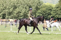L42_9340 2026