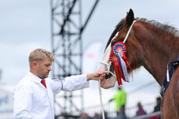 Clydesdale Overall