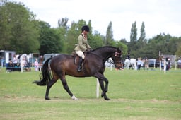 W36_1878 2026
