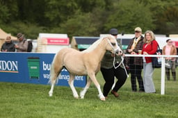 E29_0028 2026