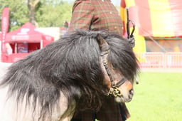 E34_0739 2026