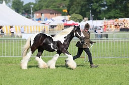 C34_0547 2026