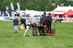 H33_4803 2026
