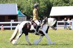 Z42_3784 2026