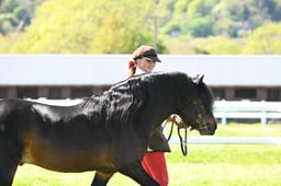 S19_8024 2026
