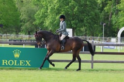 S30_2691 2026