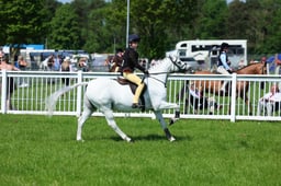 63 WHP RIHS Open 133cms