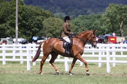 E42_1836 2026
