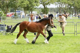 E34_2154 2026