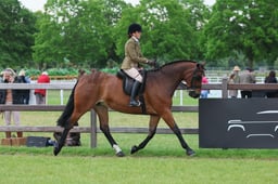 S31_8356 2026