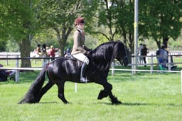 C19_1079 2026