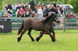S29_0826 2026