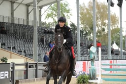 07 Household Cavalry Mounted Regiment Waterloo