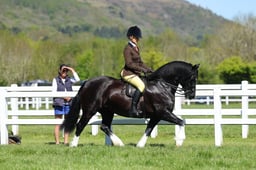H19_0395 2026