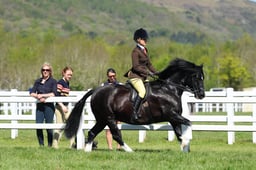 H19_0440 2026