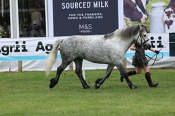 M44_0771 2026