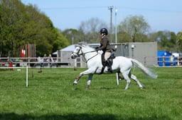 M19_0568 2026