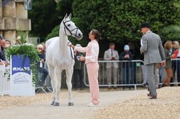 44 CREEVAGH SILVER DE HAAR